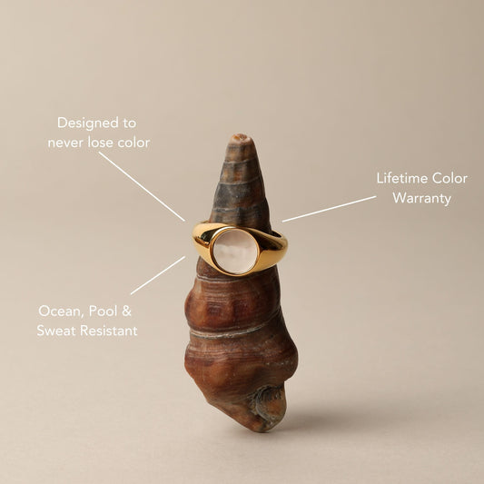 Mother Of Pearl Ring - gold detail