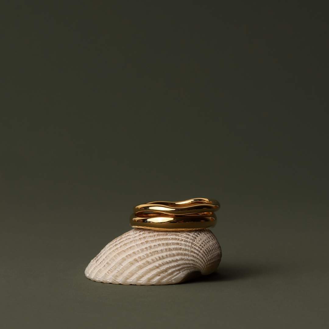 Gemini gold rings on shell dark background