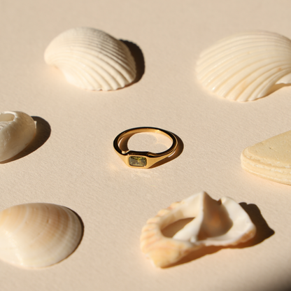 Laguna Ring gold on shells