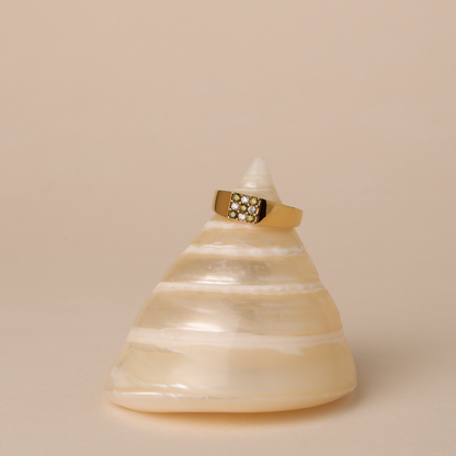 Tulum Ring - on shell