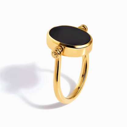 Black Onyx Mother of Pearl Fidget Ring - yellow gold spinning