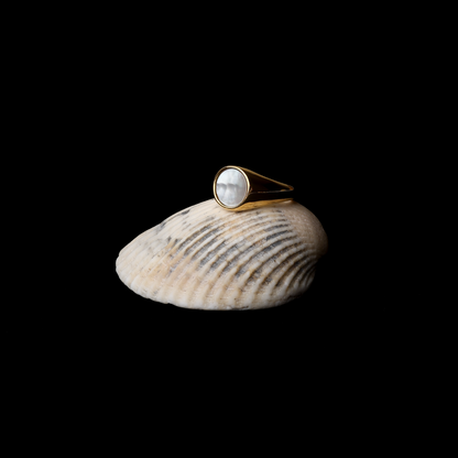 Mother Of Pearl Ring - gold on shell