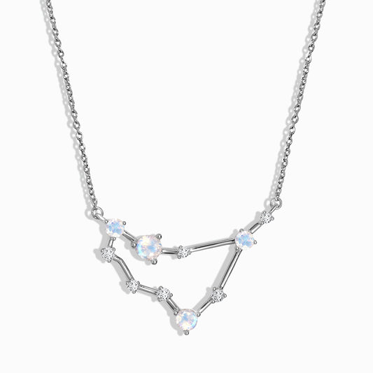 Capricorn zodiac necklace silver