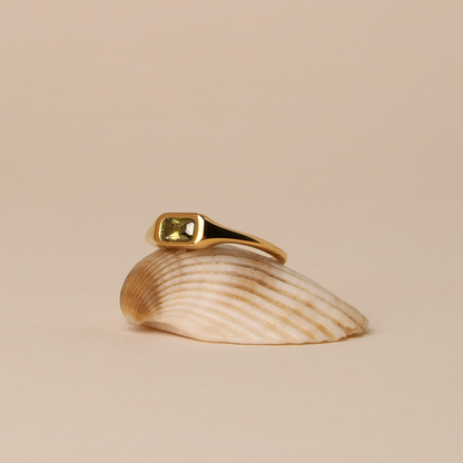 Laguna Ring on shell