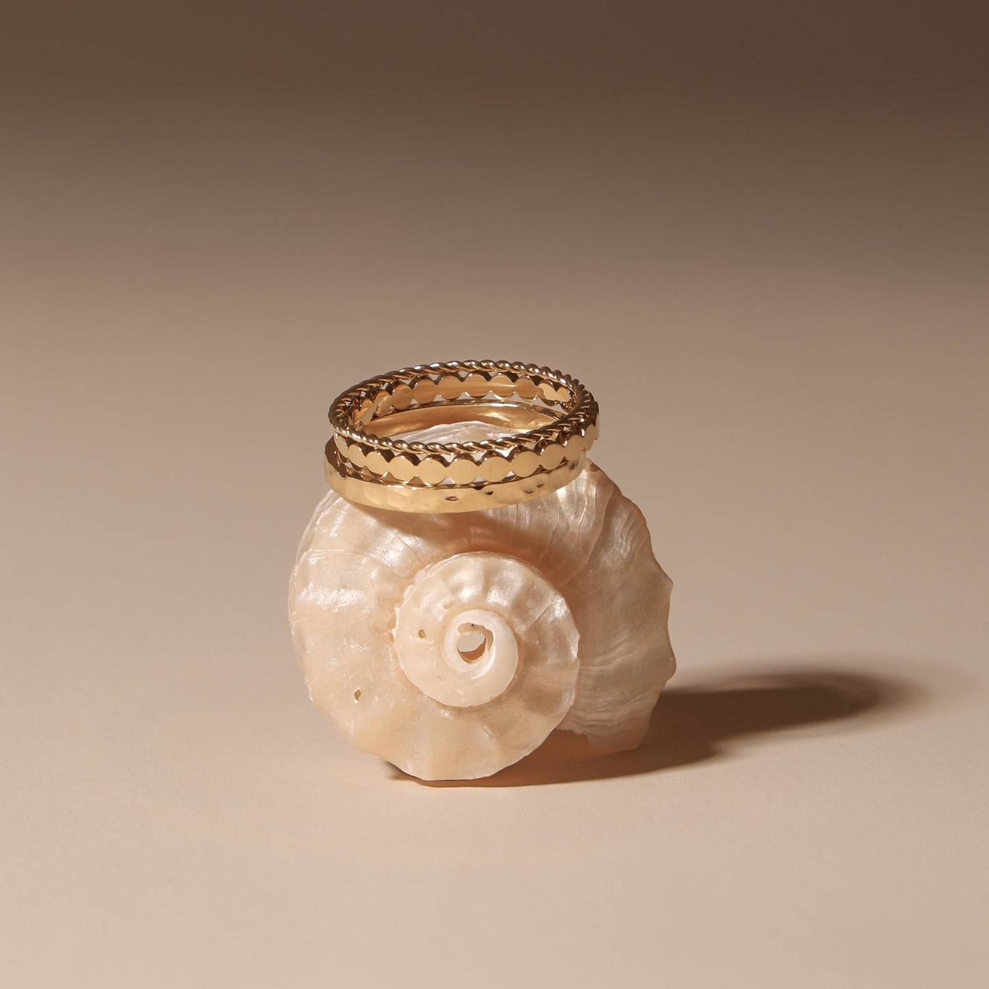 Daily Rings Set 14k gold on shell