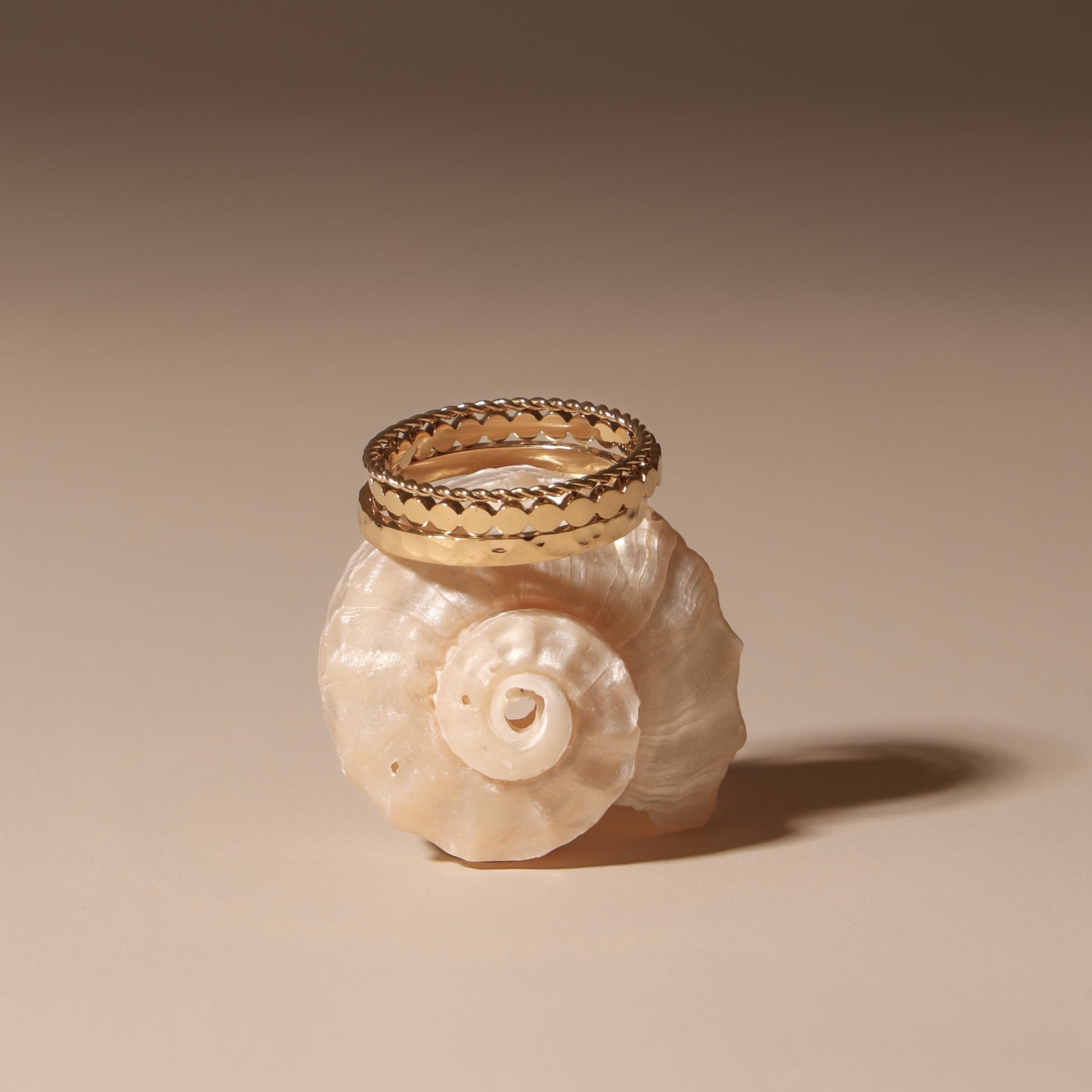 Daily Rings Set 14k gold on shell