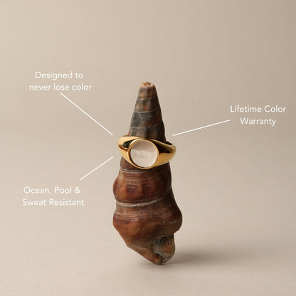 Mother Of Pearl Ring - gold detail