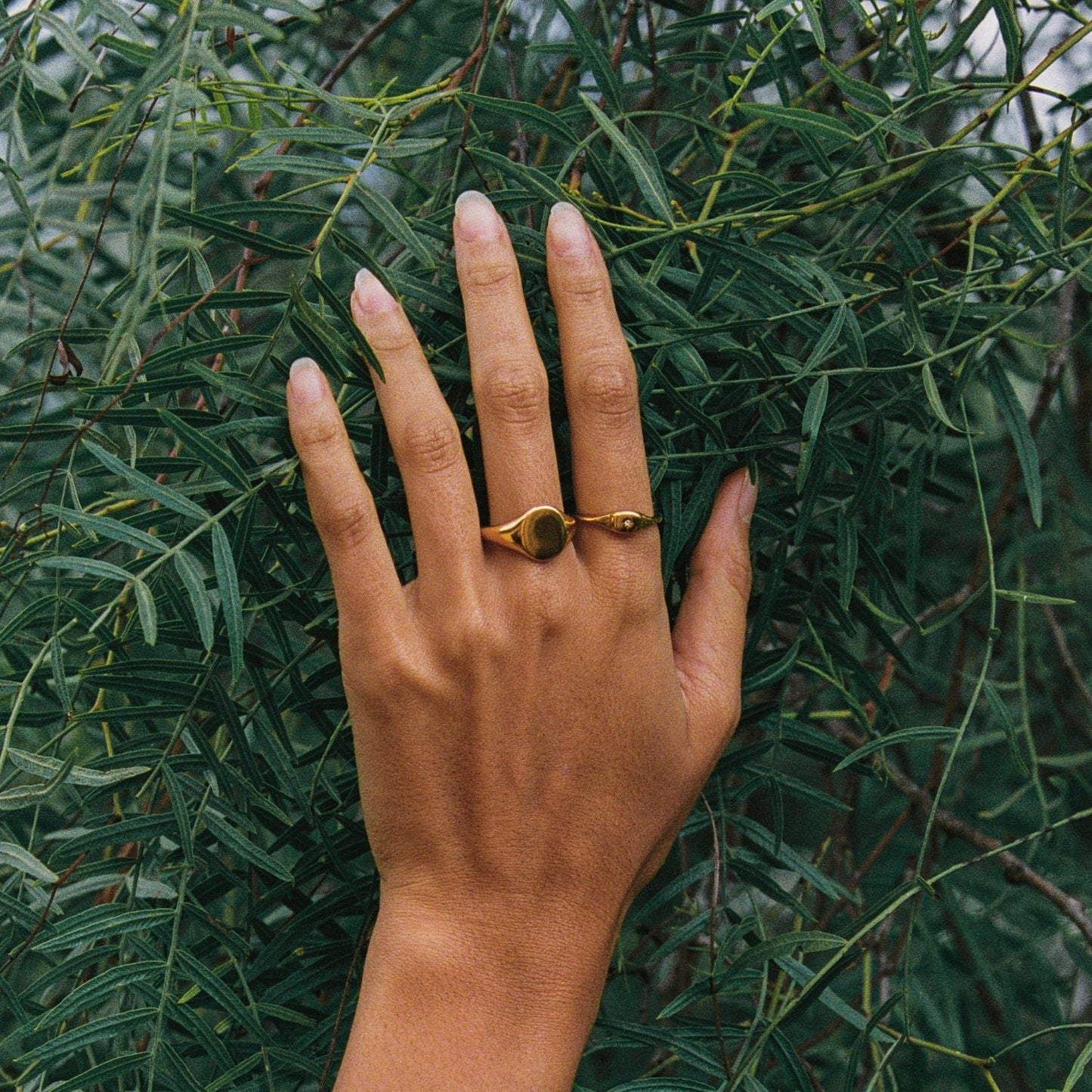 Oval Signet Ring - signet-ring-everyday